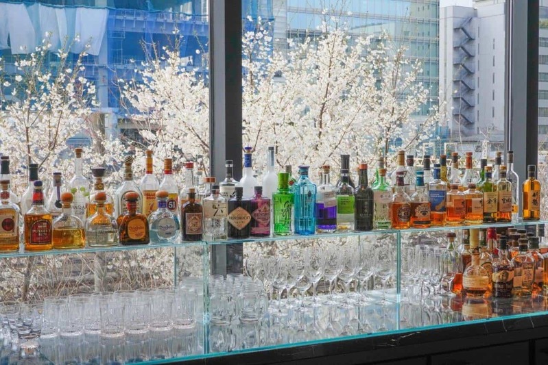 【プルマン東京田町】ホテル館内で快適にお花見、歌舞伎×満開の桜アート