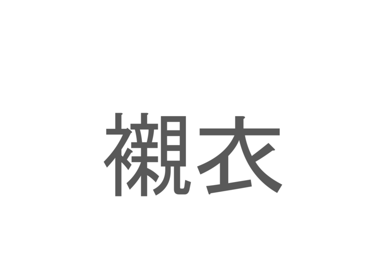 【読めたらスゴイ！】「襯衣」とは一体何のこと！？日常的に着用する衣類のことですが・・・この漢字を読めますか？