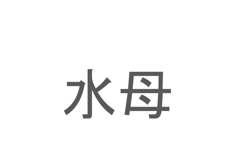 【読めたらスゴイ！】「水母」とは一体何のこと！？水中でゆらゆら揺れるある生物のことですが・・この漢字を読めますか？