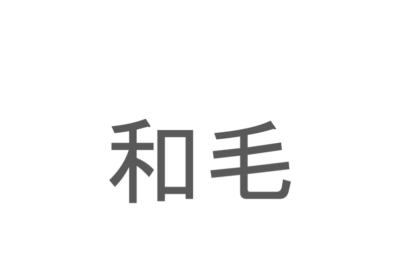 【読めたらスゴイ！】「和毛」とは一体何のこと！？ふわふわしたある毛を指す言葉ですが・・・この漢字を読めますか？