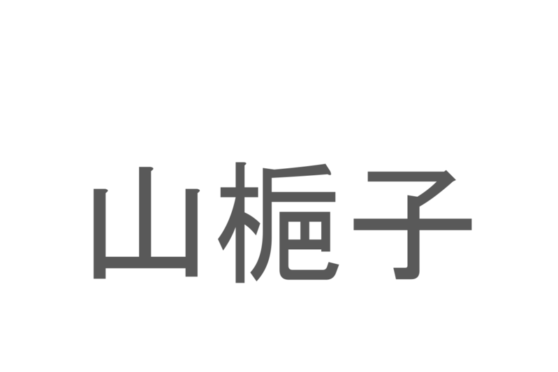 【読めたらスゴイ！】「山梔子」とは一体何のこと！！名前の由来になっている果実が特徴的ですが、この漢字を読めますか？