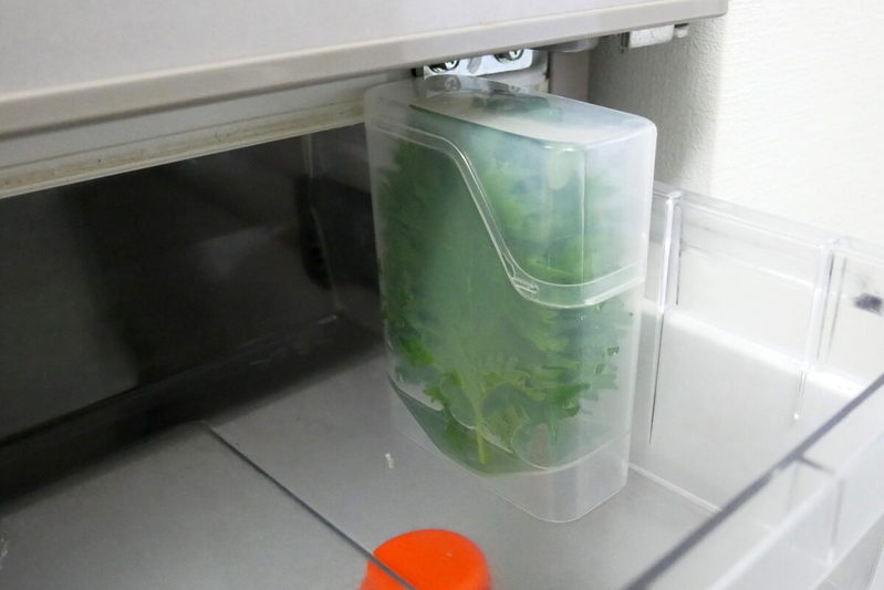 大葉の保存は“コレ”が正解 長持ちさせる「110円のグッズ」が最強だった