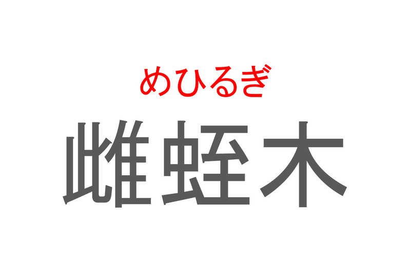 【読めたらスゴイ！】「雌蛭木」とは一体何のこと！？マングローブ林を作る樹木の一種ですが・・・この漢字を読めますか？