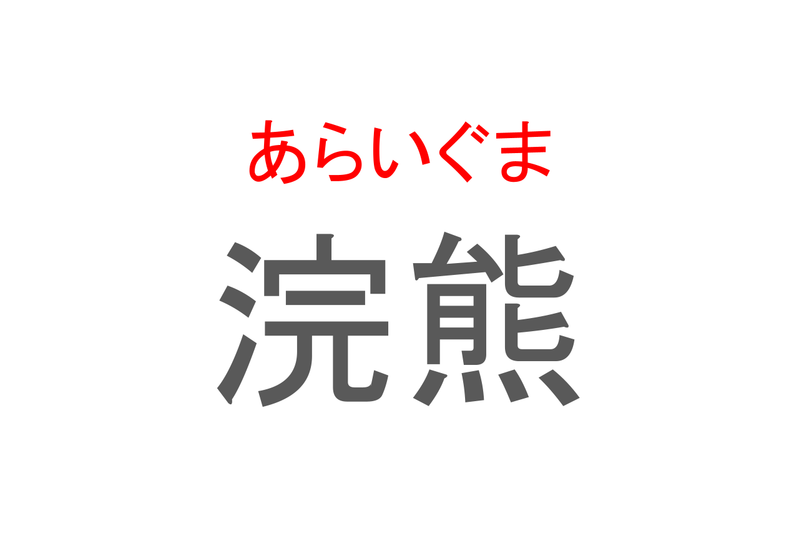 【読めたらスゴイ！】「浣熊」とは一体何のこと！？不朽のアニメにも出てくるあの動物です！この漢字を読めますか？