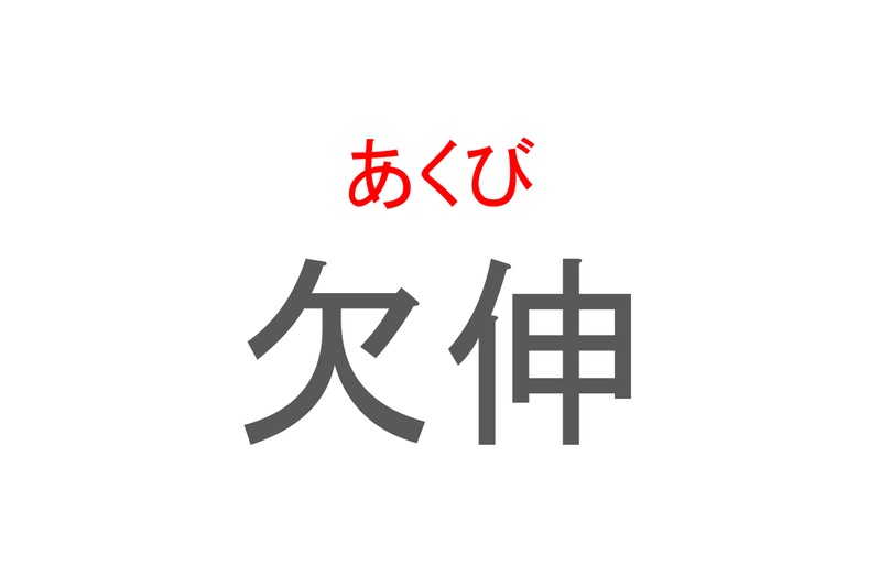 【読めたらスゴイ！】「欠伸」とは一体何のこと！？眠たい時に出てしまう『あの仕草』ですが・・・この漢字を読めますか？