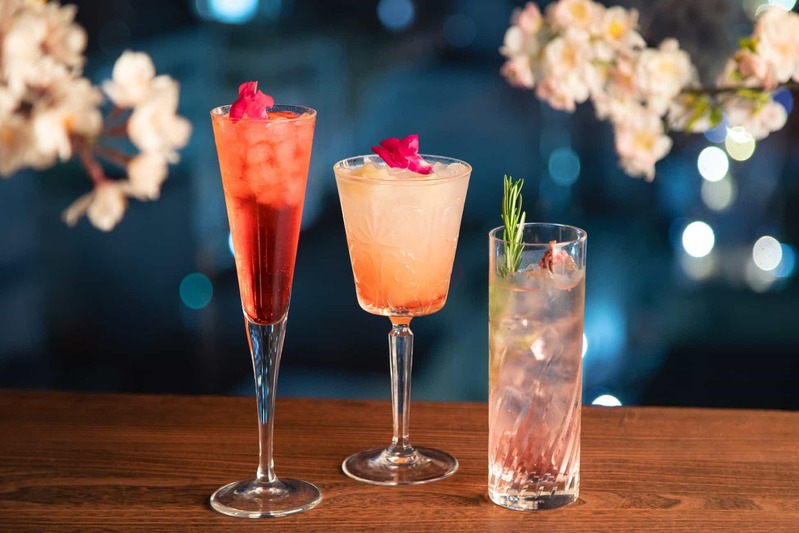 渋谷の夜景が一望、2名専用スカイレストラン渋谷Blue birdにて 桜と夜景を眺めながら愉しめる【夜桜 × 夜景 -YOZAKURA- 】が3月24日より開催!
