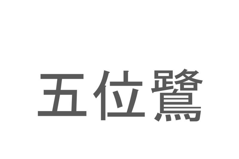 【読めたらスゴイ！】「五位鷺」とは一体何のこと！？鳴き声が特徴的でペンギンにも似ている鳥ですが・・・この漢字を読めますか？