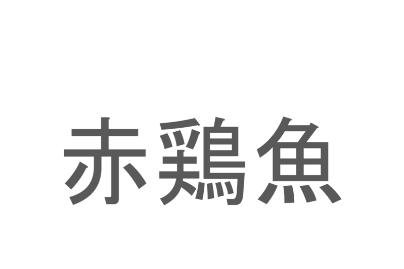 【読めたらスゴイ！】「赤鶏魚」とは一体何のこと！？漢字の通り体の赤いある魚のことですが・・この漢字を読めますか？