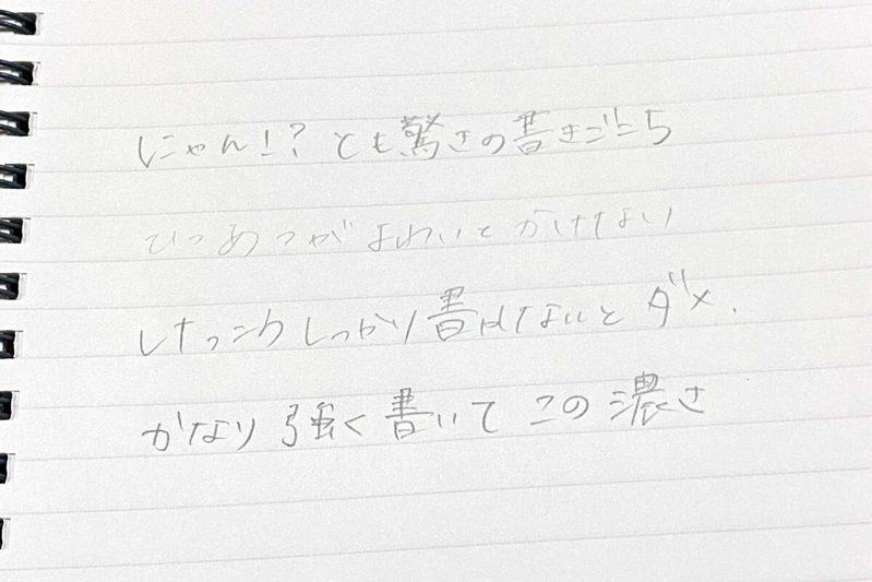 キャンドゥで見つけたペン、一見普通と思いきや…　100倍のパワーを秘めし一本だった