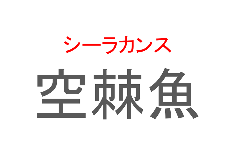 【読めたらスゴイ！】「空棘魚」とは一体何のこと！？「生きた化石」と呼ばれる生物なのですが・・・この漢字を読めますか？