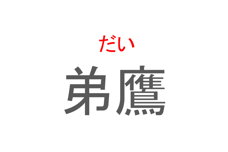 【読めたらスゴイ！】「弟鷹」とは一体何のこと！？弟と表記に含まれているけれど・・・この漢字を読めますか？