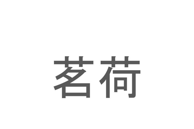 【読めたらスゴイ！】「茗荷」とは一体何のこと！？薬味となる植物ですが・・・この漢字を読めますか？