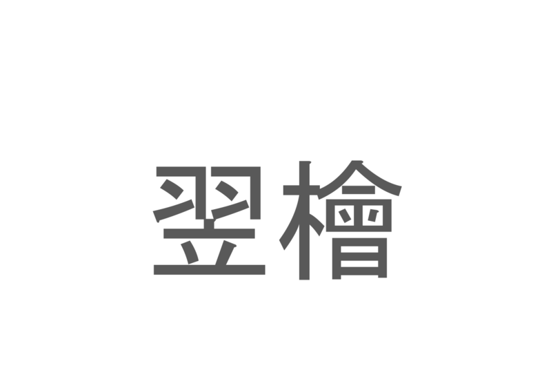 【読めたらスゴイ！】「翌檜」とは一体何のこと！？ヒノキに似た植物ですが・・・この漢字を読めますか？