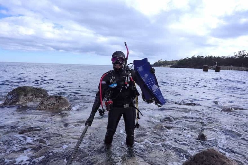 海牛杯開催中！オーシャナ編集部が挑戦してみたらこんなにたくさんのウミウシが…！