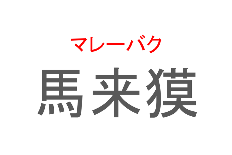 【読めたらスゴイ！】「馬来獏」とは一体何のこと！？体の色と模様が特徴的な動物のことですが・・・この漢字を読めますか？