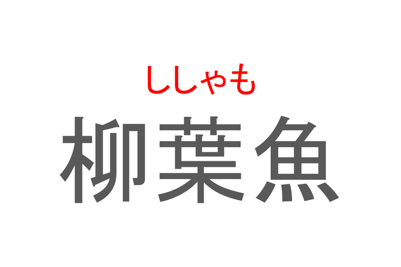 【読めたらスゴイ！】「柳葉魚」とは一体何のこと！？食卓やおつまみとしてもおなじみの魚ですが・・・この漢字を読めますか？