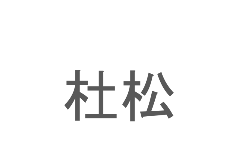 【読めたらスゴイ！】「杜松」とは一体何のこと！？日本庭園には必ずあるイメージもある植物の事ですが・・・この漢字を読めますか？