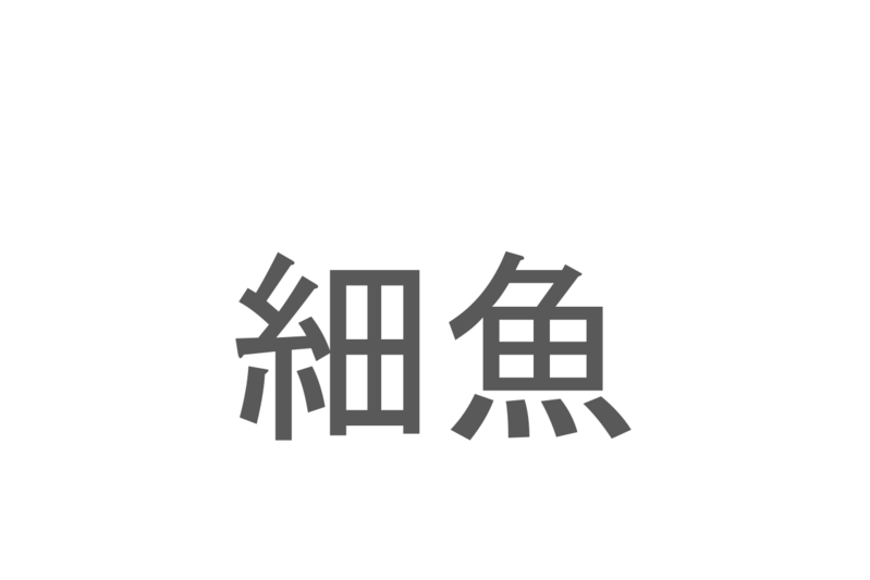 【読めたらスゴイ！】「細魚」とは一体何のこと！？文字通り体の細長いその魚とは・・・この漢字を読めますか？