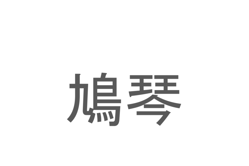 【読めたらスゴイ！】「鳩琴」とは一体何のこと！？リコーダーに似た演奏方法をする楽器ですが・・・この漢字を読めますか？