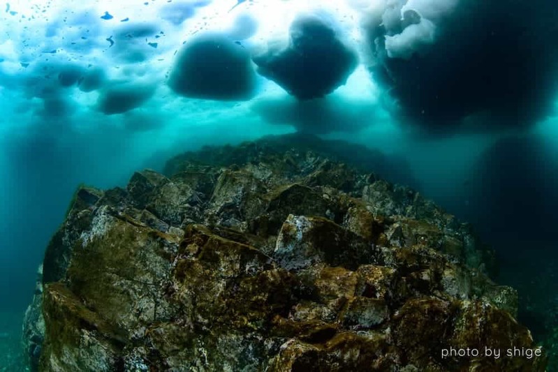 知床半島で流氷と向き合った１ヶ月　水中写真家・茂野優太のチャレンジ、その成果は⁉