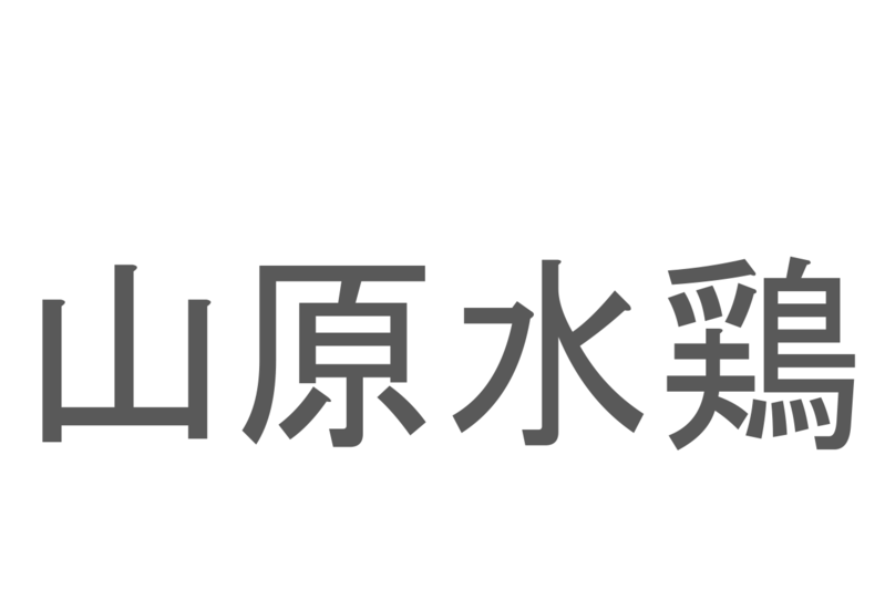 【読めたらスゴイ！】「山原水鶏」とは一体何のこと！？沖縄県のある地域にのみ生息する生き物なのですが・・この漢字を読めますか？