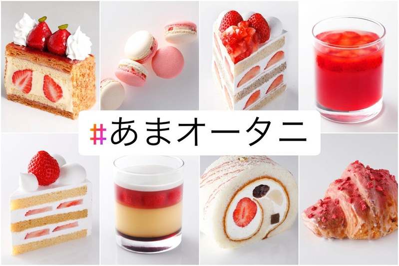 “いちごの王様”「博多あまおう」×ケーキの王様「パティスリーSATSUKI」！贅沢コラボスイーツ8種が堂々登場！