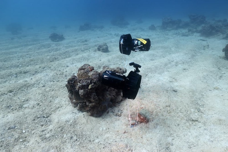 海中に眠る大量のライフル「M1ガーランド」を沖縄・残波岬沖で発見