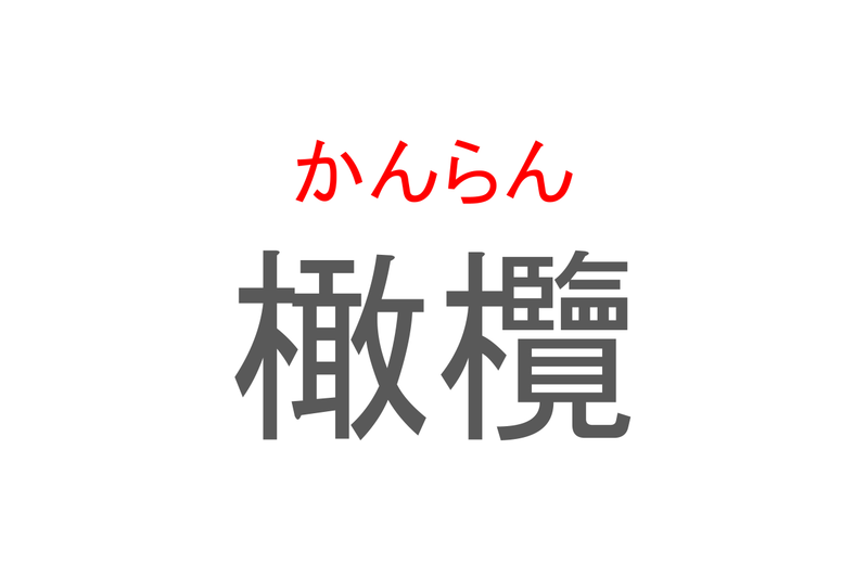 【読めたらスゴイ！】「橄欖」とは一体何のこと！？チャイニーズオリーブとも呼ばれる植物ですが・・・この漢字を読めますか？