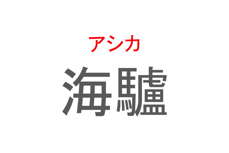 【読めたらスゴイ！】「海驢」とは一体何のこと！？水族館の人気者ですが・・・この漢字を読めますか？