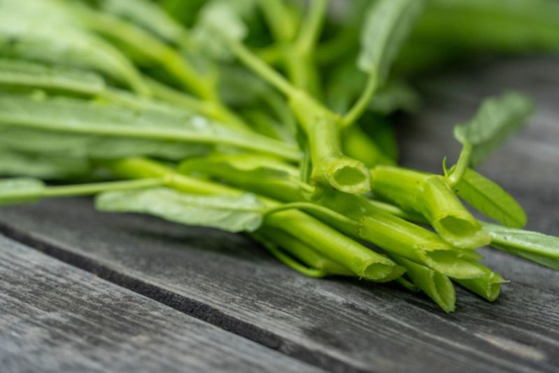 中華料理で見かける「空芯菜」とはどんな野菜？その旬や原産地について解説！！危険な食べ物だったりするの？