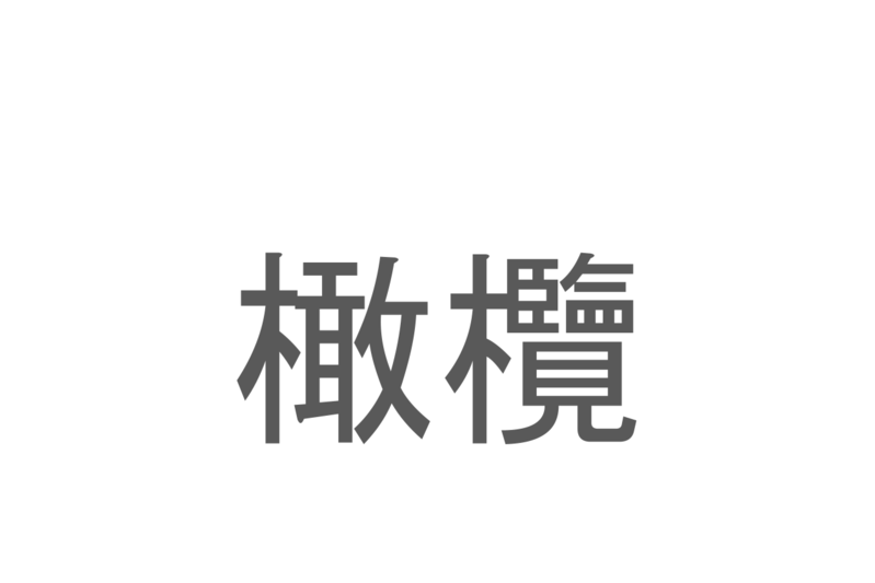 【読めたらスゴイ！】「橄欖」とは一体何のこと！？チャイニーズオリーブとも呼ばれる植物ですが・・・この漢字を読めますか？