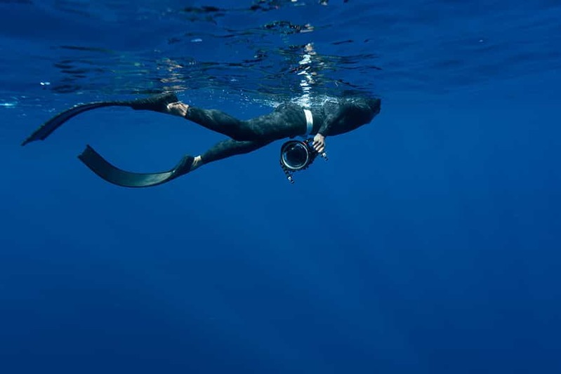特集記事の裏側！空から海から、冬の奄美大島でザトウクジラの撮影