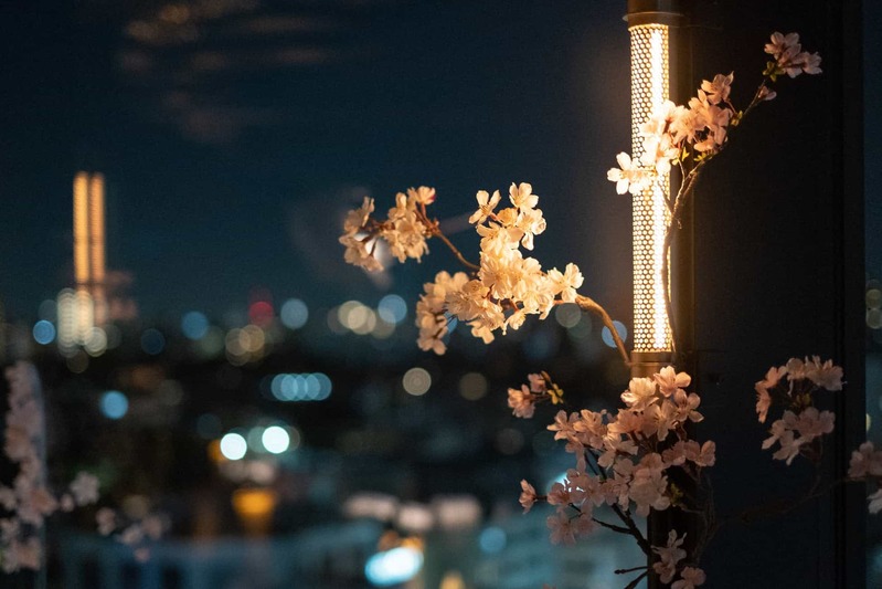 渋谷の夜景が一望、2名専用スカイレストラン渋谷Blue birdにて 桜と夜景を眺めながら愉しめる【夜桜 × 夜景 -YOZAKURA- 】が3月24日より開催!