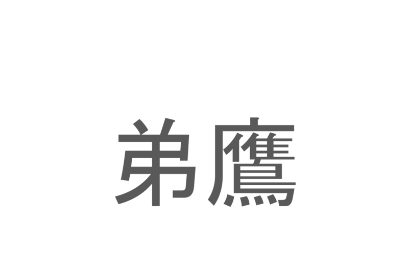 【読めたらスゴイ！】「弟鷹」とは一体何のこと！？弟と表記に含まれているけれど・・・この漢字を読めますか？