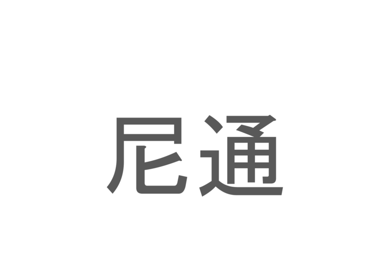 【読めたらスゴイ！】「尼通」とは一体何のこと！？歴史的学者の名前ですが・・・この漢字を読めますか？