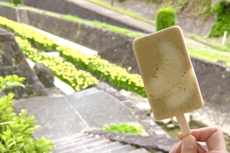 【熊本・玉名市】花しょうぶまつりと高瀬裏川界隈を散策して初夏を満喫してきたよ。