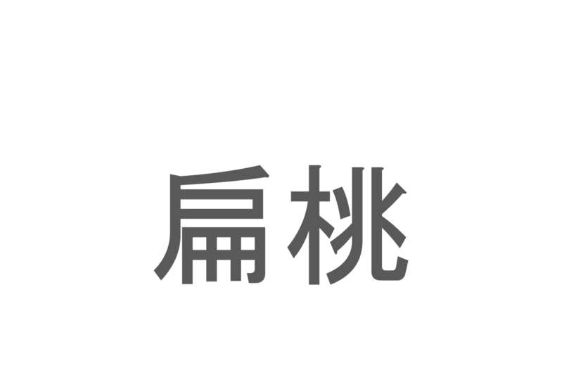 【読めたらスゴイ！】「扁桃」とは一体何のこと！？栄養満点のある食べ物のことですが・・・この漢字を読めますか？