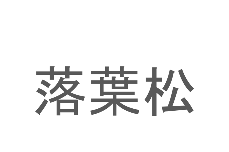 【読めたらスゴイ！】「落葉松」とは一体何のこと！？紅葉シーズンに美しい黄葉を見せてくれる木ですが・・・この漢字を読めますか？