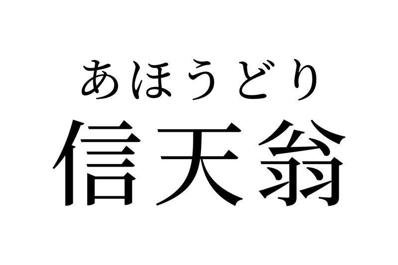 【読めたらスゴイ！】「信天翁」って一体何！？実はよく聞く鳥の名前だった！この漢字、あなたは読めますか？