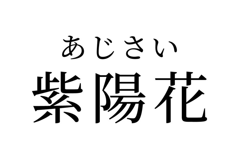 【読めたらスゴイ!】「紫陽花」ってどんな花?これから見頃を迎えるお花です!この漢字、あなたは読めますか?