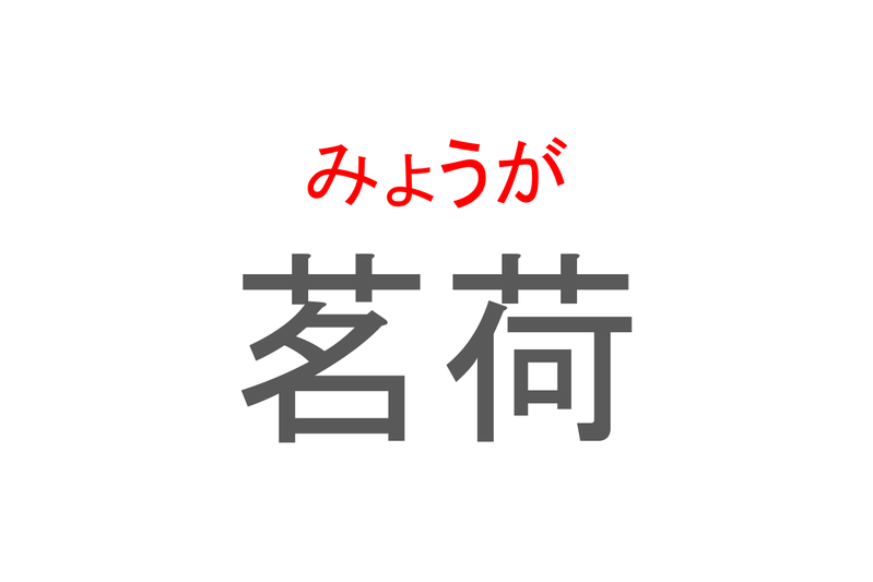 【読めたらスゴイ！】「茗荷」とは一体何のこと！？薬味となる植物ですが・・・この漢字を読めますか？