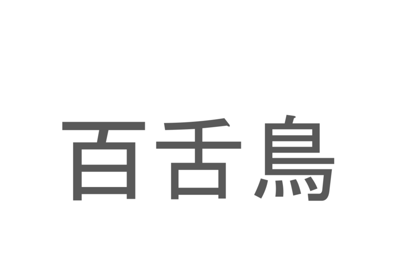 【読めたらスゴイ！】「百舌鳥」とは一体何のこと！？漢字は3文字なのに読みは2文字の鳥ですが・・・この漢字を読めますか？