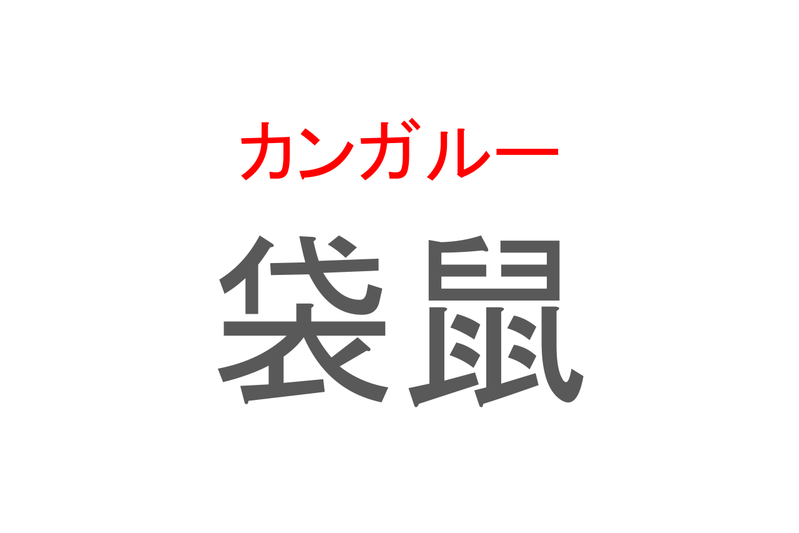 【読めたらスゴイ！】「袋鼠」とは一体何のこと！？ぴょんぴょんジャンプするあの動物をあらわすこの漢字を読めますか？