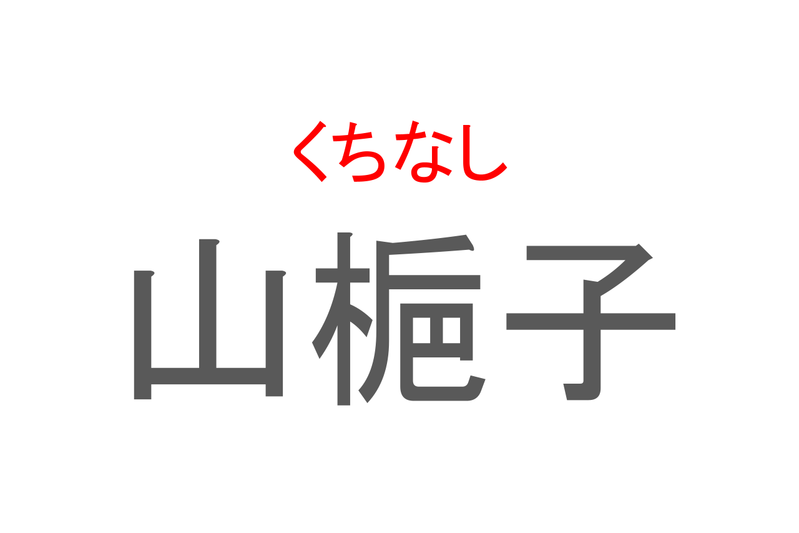 【読めたらスゴイ！】「山梔子」とは一体何のこと！！名前の由来になっている果実が特徴的ですが、この漢字を読めますか？