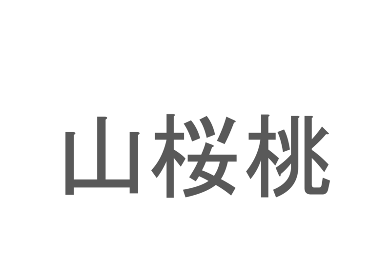 【読めたらスゴイ！】「山桜桃」とは一体何のこと！？桜や桃に似た花を咲かせる植物ですが・・・この漢字を読めますか？