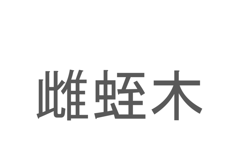 【読めたらスゴイ！】「雌蛭木」とは一体何のこと！？マングローブ林を作る樹木の一種ですが・・・この漢字を読めますか？