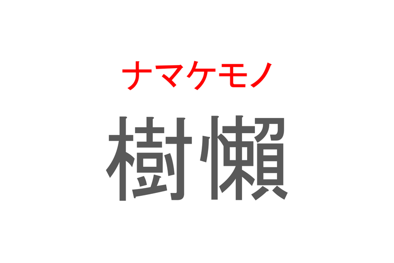 【読めたらスゴイ！】「樹懶」とは一体何のこと！？のんびり屋さんと知られる動物の事ですが・・この漢字を読めますか？