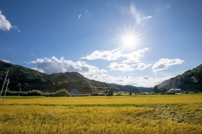 【AKOMEYA TOKYO】新米の季節到来！今年のテーマは「米と海」。10月13日（金）より、大地めぐみと海のめぐみが食卓でつながる「新米祭り」フェアを開催！