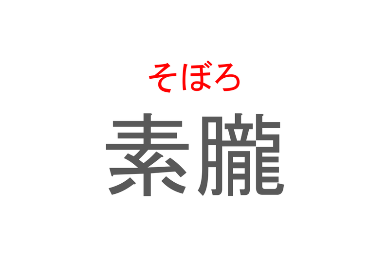 【読めたらスゴイ！】「素朧」とは一体何のこと！？炒めたお肉や卵をほぐした食べ物ですが・・・この漢字を読めますか？