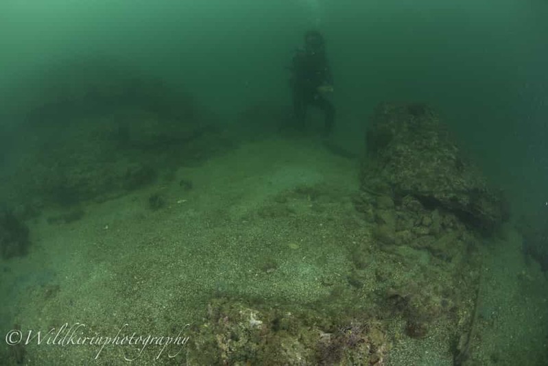 神奈川・三浦のセルフダイビングコースの見どころ -フォト派向け！ナビがしやすい海-